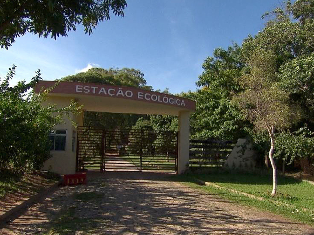 Explore a Estação Ecológica da UFMG, um refúgio natural em Belo Horizonte. Descubra suas trilhas, biodiversidade, atividades educativas e a rica conexão com a história da cidade.
