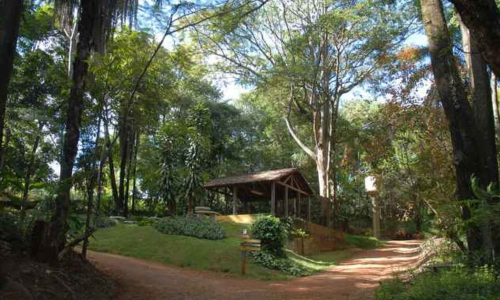 Estação Ecológica da UFMG: Um Refúgio Natural e Científico em Belo Horizonte
