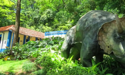 Museu de História Natural e Jardim Botânico da UFMG Um Tesouro para Amantes da Natureza 